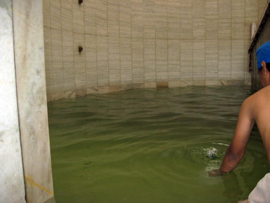Baoli Ishnaan